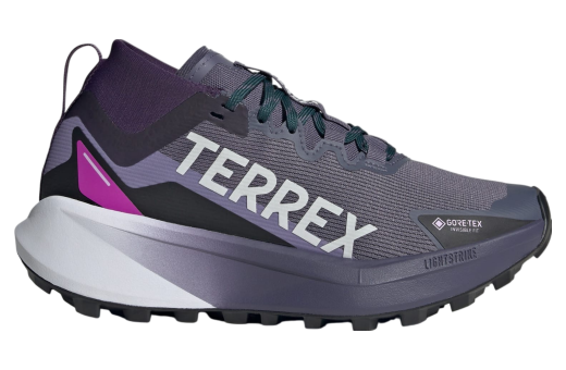Adidas Terrex Agravic Gtx Trail WMNS Preloved Violet / Cloud White