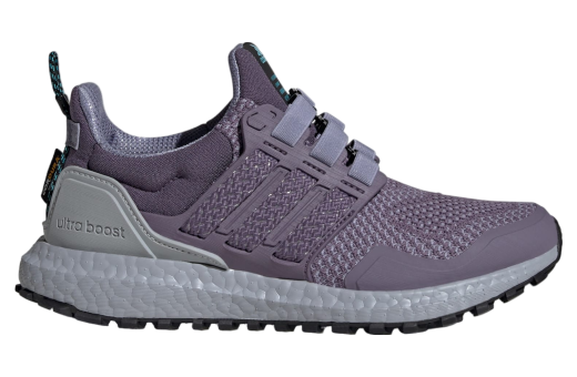 Adidas Ultraboost 1.0 WMNS Shadow Violet / Silver Violet