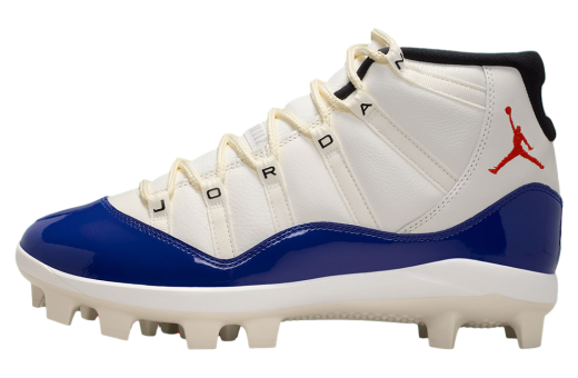 Air Jordan 11 Mcs Rare Air