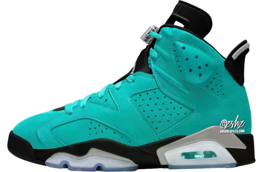 Air Jordan 6  Light Aqua / Multi