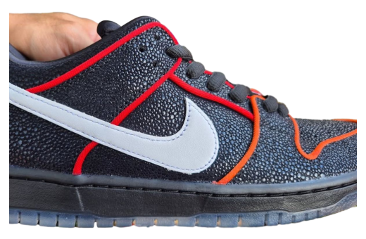 Bronx Girls Skate x Nike SB Dunk Low