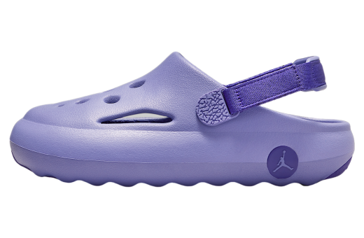 Jordan Hydrip GS Dusty Amethyst / Court Purple