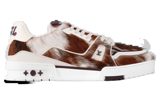 Louis Vuitton LV Trainer White / Brown