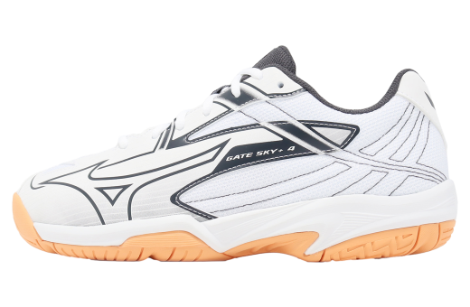 ジャスティー　ウィンドー　NEO 禅ピクチャー Mizuno Neo Zen WMNS Blue / Pink - Jun 2025 - J1GD259175