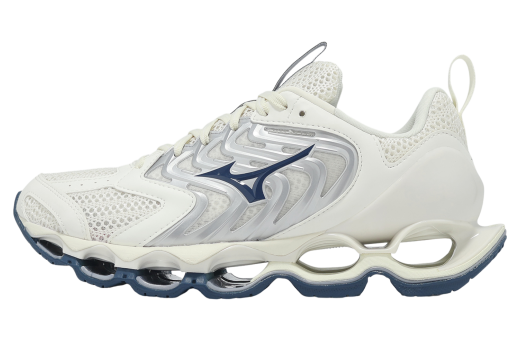 Mizuno Wave Ibuki 5 GTX WMNS Black / Grey - Jan 2025