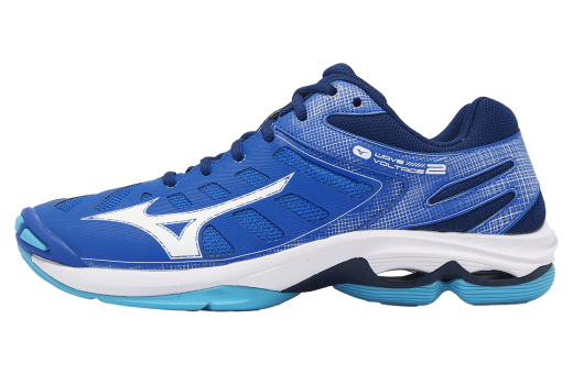 ibuki　0121 Mizuno Wave Ibuki 5 GTX Black - Jan 2025 - J1GJ255902
