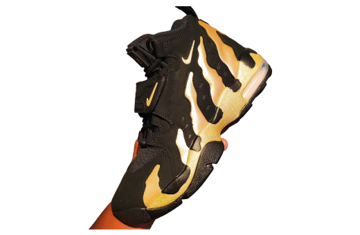 Nike Air DT Max 96 Colorado Home