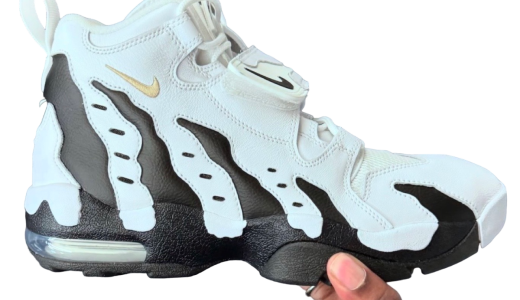 Nike Air DT Max 96 White / Black