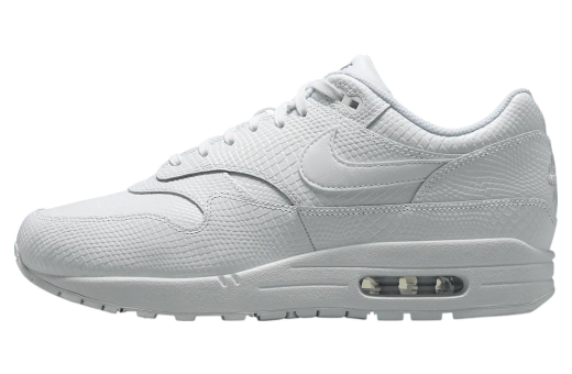 Nike Air Max 1 Premium White / Pure Platinum