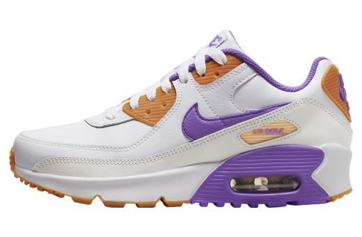 Nike Air Max 90 LTR GS White / Action Grape