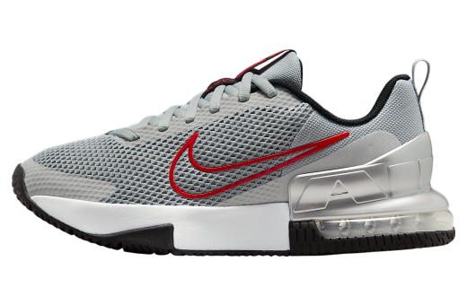 Nike Air Max Alpha Trainer 6 Flat Silver / Metallic Silver