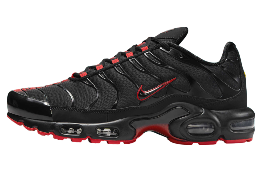 Nike Air Max Plus Tiempo Black White W HF0074-001 | FLEXDOG