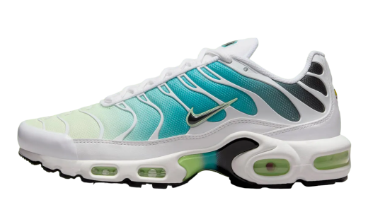 Nike Air Max Plus Dusty Cactus