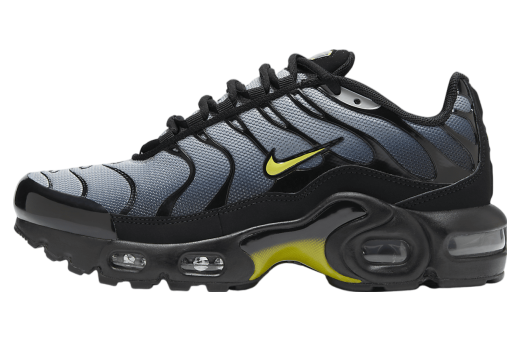 Nike Air Max Plus GS Black / Wolf Grey