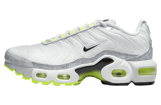 Nike Air Max Plus GS Pure Platinum / Wolf Grey