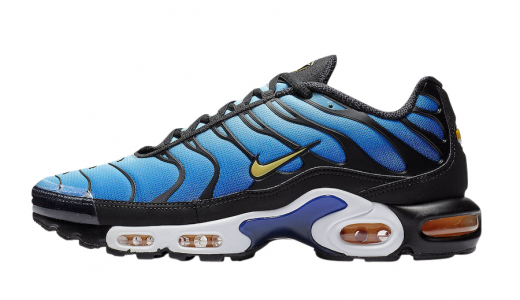 Nike Air Max Plus TN Tiger for Sale, Authenticity Guaranteed