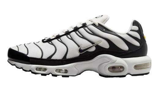 Nike Air Max Plus Panda