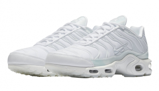 Nike TN Air Max Plus GS `Nature Blue` DV3484-001