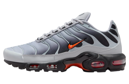 Nike Air Max Plus Wolf Grey / Picante Red