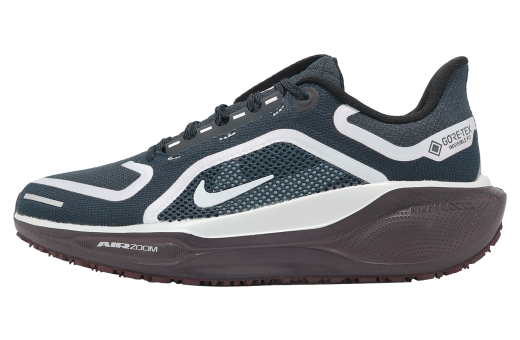 Nike Air ZM Pegasus 41 GTX WMNS Dark Obsidian / Anthracite
