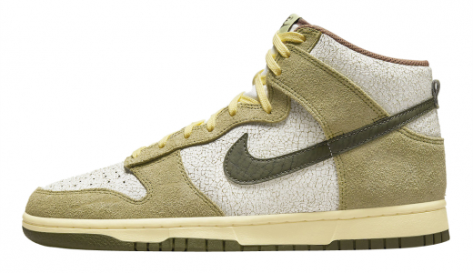 Nike Dunk High Re-Raw