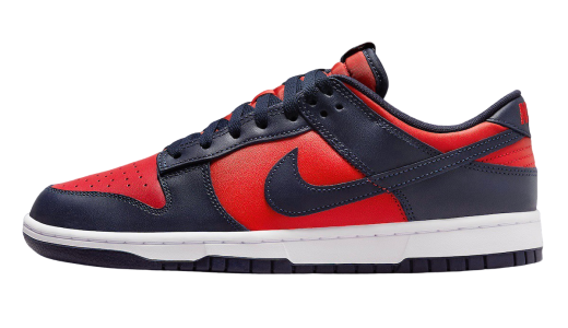 Nike Dunk Low CO.JP City Attack
