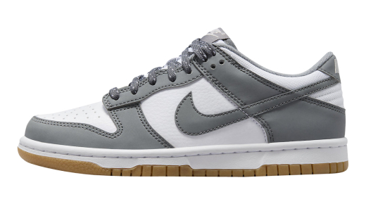 Nike Dunk Low GS Reflective Swoosh FV0365-100