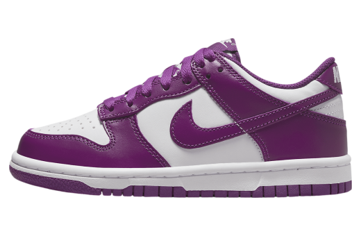 Nike Dunk Low GS White / Viotech