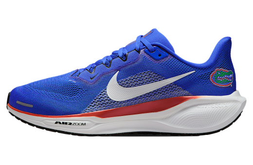 Nike Florida Pegasus 41 Game Royal / University Orange