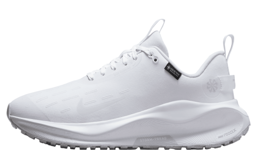 Nike Infinityrn 4 Gore-Tex WMNS White / Pure Platinum