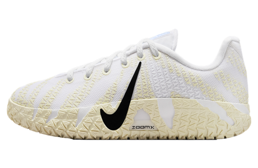 BIGジャイキ 【新品・未使用】NIKE JA3 (29cm) Nike Ja 3 