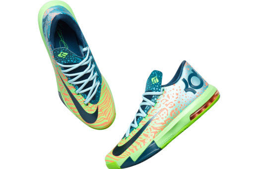 ligers kd 6