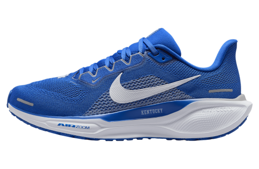 Nike Kentucky Pegasus 41 Game Royal / White