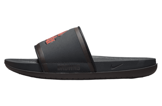 Nike Offcourt Slide (NFL Cleveland Browns) Anthracite / Seal Brown