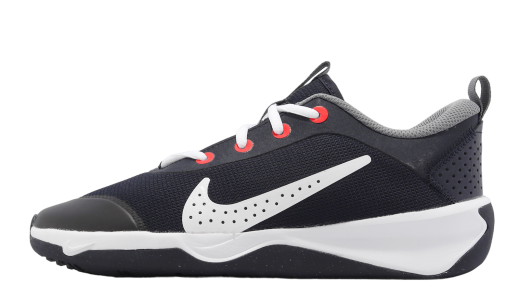 Nike Omni Multi-Court GS Dark Obsidian / White