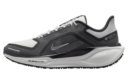 Nike Pegasus 41 Gore-Tex Black / Anthracite