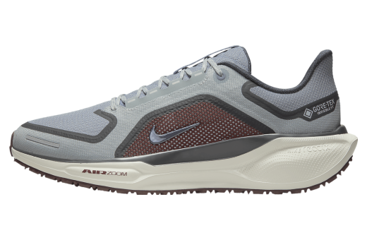 Nike Pegasus 41 Gore-Tex Light Pumice / Burgundy Crush