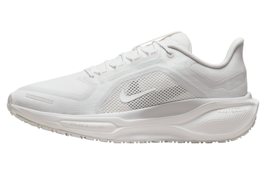 Nike Pegasus 41 Gore-Tex Summit White / Photon Dust