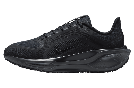 Nike Pegasus 41 Gore-Tex WMNS Black / Anthracite