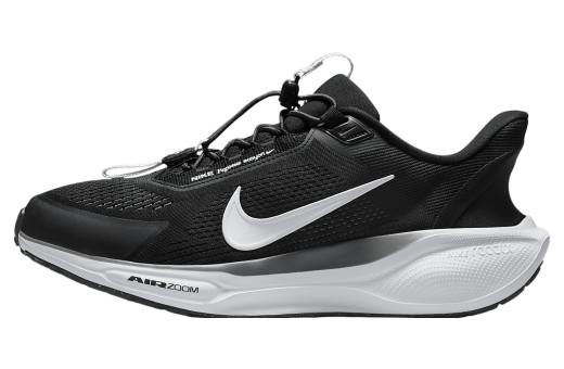 Nike Pegasus Easyon Black / Anthracite