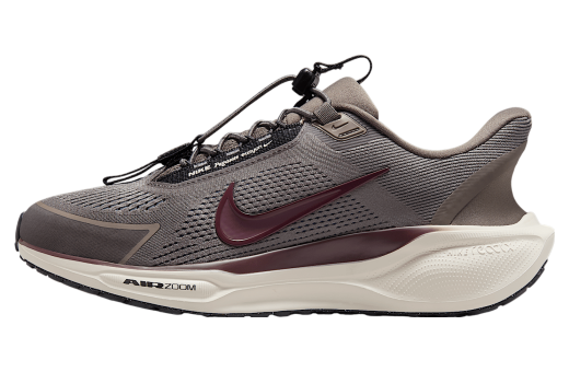 thumb_ipad_nike-pegasus-easyon