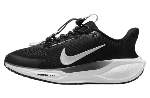 Nike Pegasus Easyon WMNS Black / Anthracite