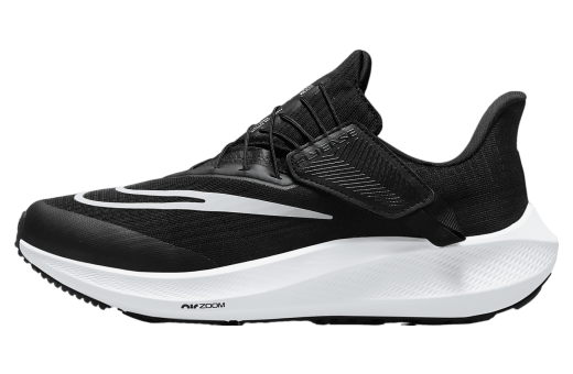 Nike Pegasus FlyEase WMNS Black / Dark Smoke Grey