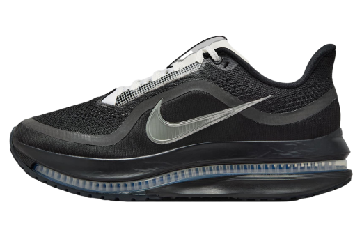 Nike Pegasus Premium Black / Metallic Silver / White - Nov