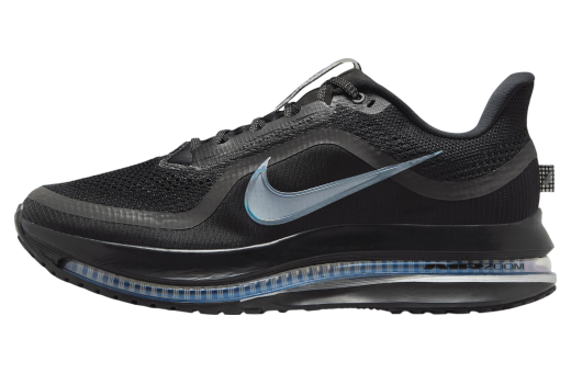 Nike Pegasus Premium Black / Metallic Silver