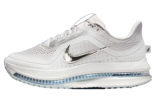 Nike Pegasus Premium Vast Grey / Wolf Grey