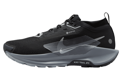 Nike Pegasus Trail 5 GORE-TEX Black / Cool Grey