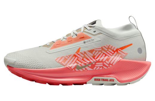 Nike Pegasus Trail 5 Gore-Tex Light Silver / Light Wild Mango