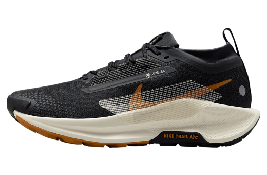 BUY Nike Pegasus Trail 5 Black / Velvet Brown | Kixify