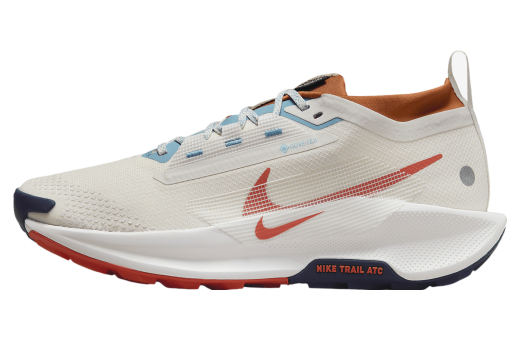 Nike Pegasus Trail 5 GORE-TEX Phantom / Dark Russet